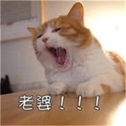 宝，我去输液了