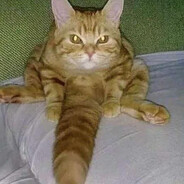 Uhm