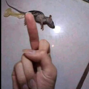 kikn