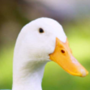 Patoalex23