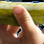 Professional_Pickle_Tickler