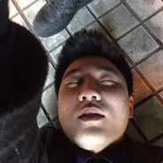 四季豆中毒黎老狗