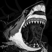 Аватар Shark
