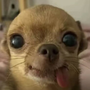 水枪装尿滋谁谁叫