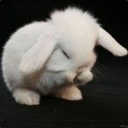 Заяс:* - steam id 76561197963265300