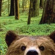 куни - 8-914-13...