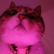 JOJOA
