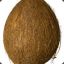 A Coconut