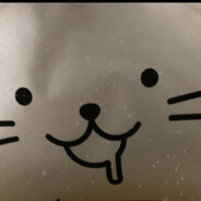 めんるい