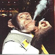chill chimp