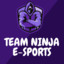 Ninja E-sports lil Frog