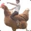 Chicken Rider