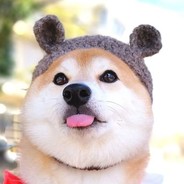 末班车