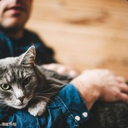 糟糕 又被打到惹