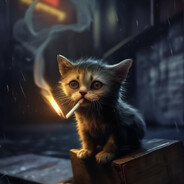 Kitten