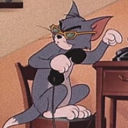 捕鼠冠军汤姆猫