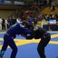 championbjj