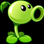 🟢🟢🟢🟢🟢