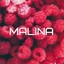 MALINA BOY