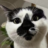 检测到你滴~石油辽！