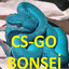 BONSEi