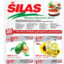 Šilas