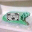 Мыльная сучка