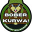 BOBER KURWA