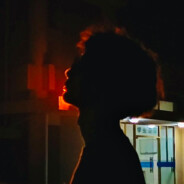 翻斗花园胡英俊