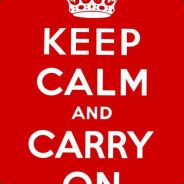 OP - steam id 76561197960486023