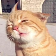 你也是复读机吗