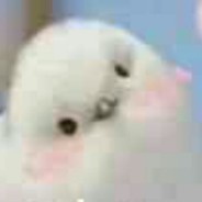 不见白日忽如昨