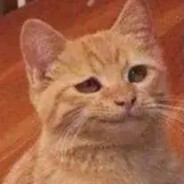 大脑未响应小脑离家走