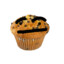 Muffin {RTG}