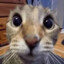 meowrgh