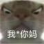 东北第一突击手李二蛋
