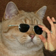 ✪𝐃𝐍𝐆𝐓𝐑𝐍