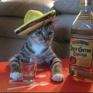 _КоТэ_ПоД_нАрКоТэ_