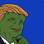 Donald The Frog