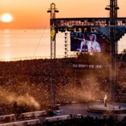 你是我的太阳yu