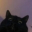 FLIPISCRYING