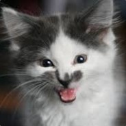 bodziur avatar