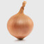 Onion