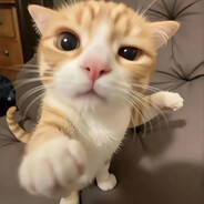 FROZZIKK avatar