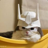 Sprayen1's avatar