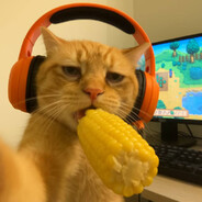 Enot1kkk - steam id 76561199833029191