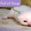 full of soup