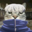 [CI] TINABO