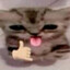 eqwiexx吸