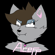 AceTheFox14